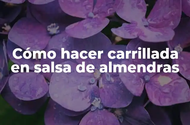 ¿Qué es la carrillada en salsa de almendras y para qué sirve?