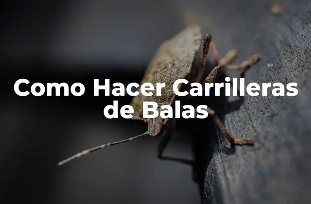 Como Hacer Carrilleras de Balas
