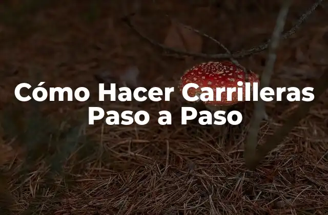 ¿Qué Son las Carrilleras y Cómo Se Usan?