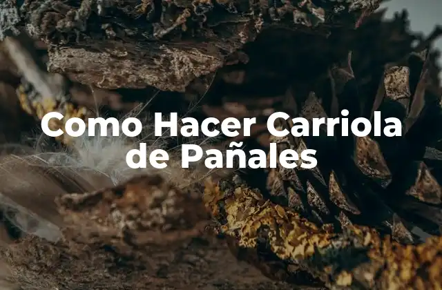 Como Hacer Carriola de Pañales