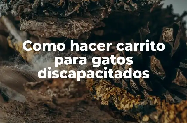 Como Hacer Carrito para Gatos Discapacitados