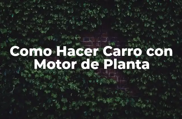 Como Hacer Carro con Motor de Planta