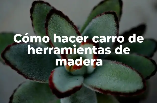 Cómo Hacer Carro de Herramientas de Madera