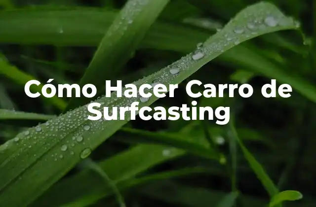 Cómo Hacer Carro de Surfcasting