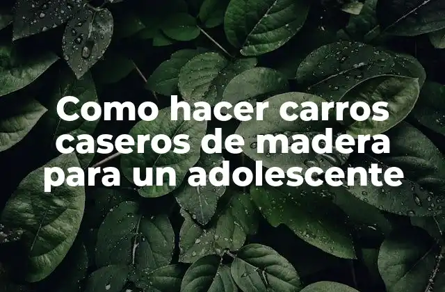 Como Hacer Carros Caseros de Madera para un Adolescente