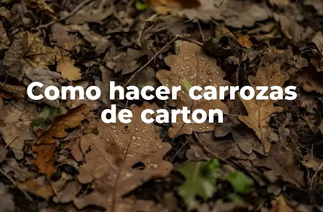 Como Hacer Carrozas de Carton