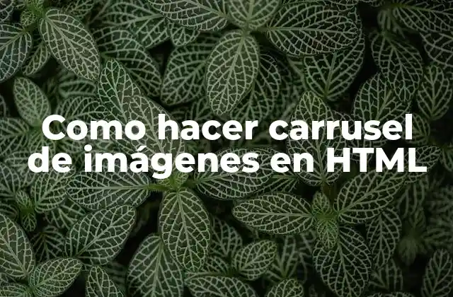 Como Hacer Carrusel de Imágenes en Html