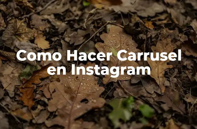 Como Hacer Carrusel en Instagram