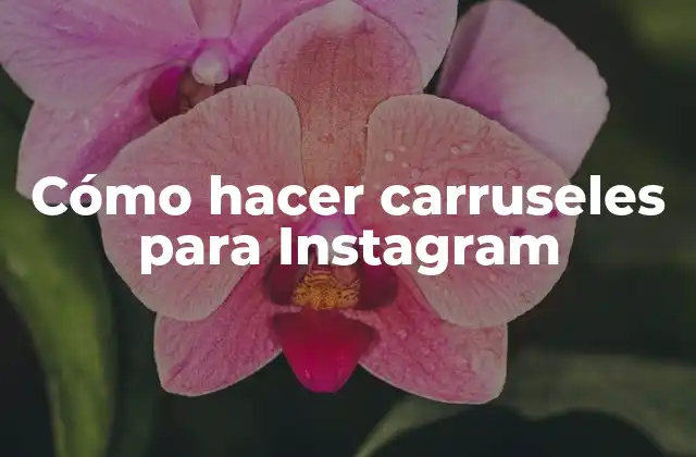 Cómo Hacer Carruseles para Instagram