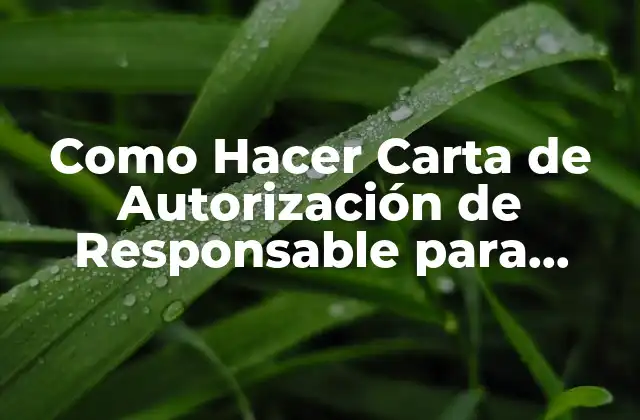 Como Hacer Carta de Autorización de Responsable para Migración Panamá