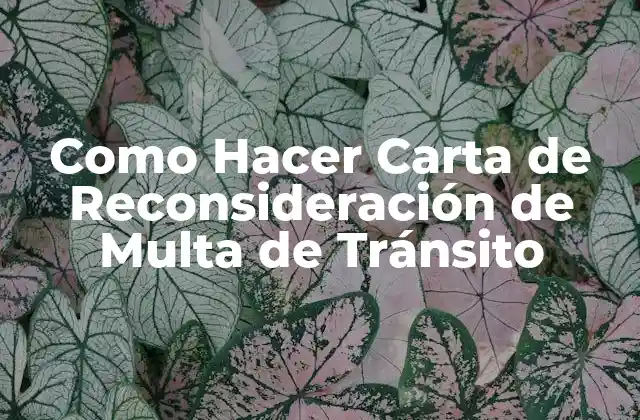 Como Hacer Carta de Reconsideración de Multa de Tránsito