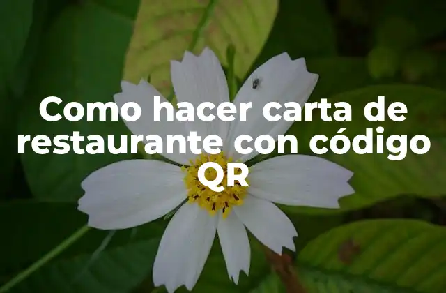 Como Hacer Carta de Restaurante con Código Qr