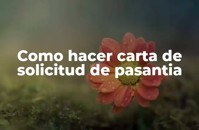 Como Hacer Carta de Solicitud de Pasantia 2 ¿Qué es una carta de solicitud de pasantia?