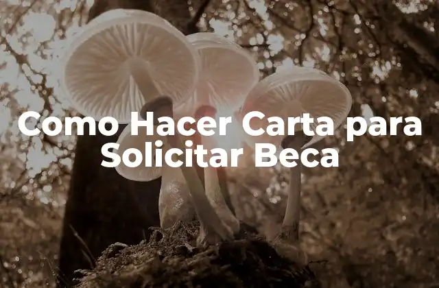 Como Hacer Carta para Solicitar Beca