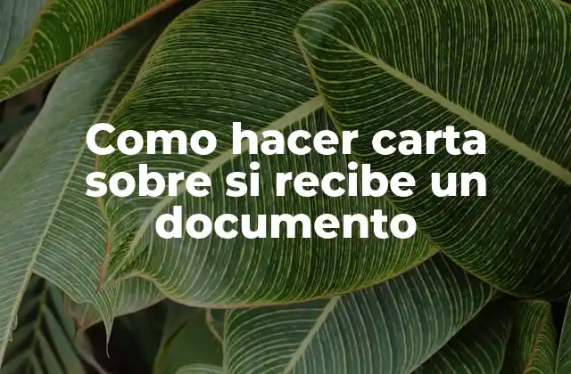 ¿Qué es una carta de recepción de documento?
