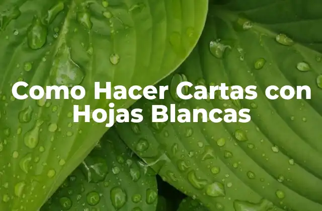 Como Hacer Cartas con Hojas Blancas