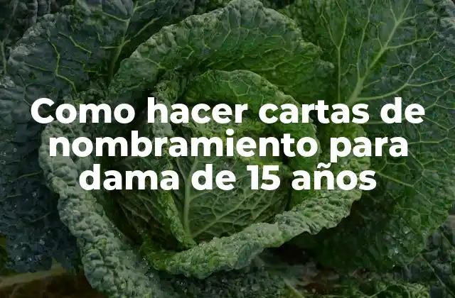 Como Hacer Cartas de Nombramiento para Dama de 15 Años