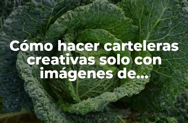 Cómo Hacer Carteleras Creativas Solo con Imágenes de Turicentros
