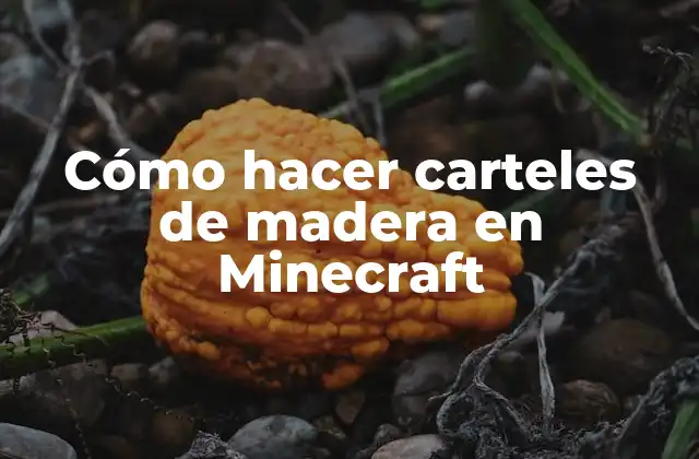 Carteles de madera en Minecraft