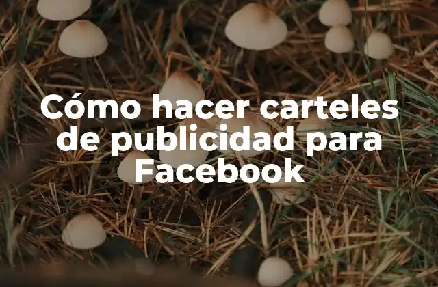 Cómo hacer carteles de publicidad para Facebook