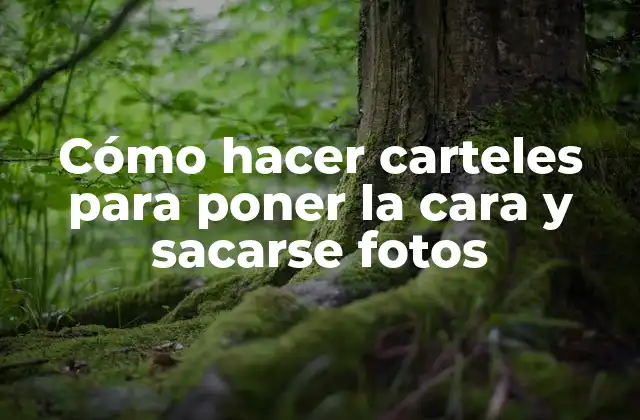 Cómo Hacer Carteles para Poner la Cara y Sacarse Fotos