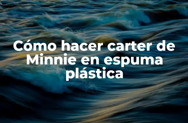 ¿Qué es un carter de Minnie en espuma plástica?