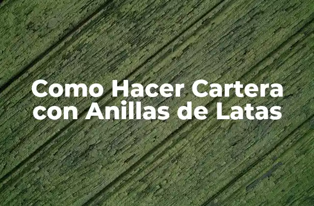 Como Hacer Cartera con Anillas de Latas