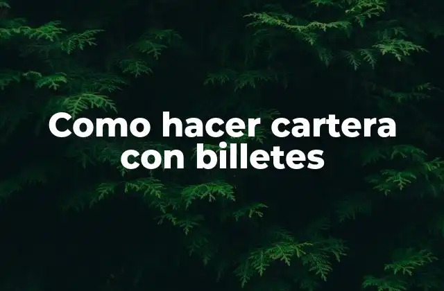 Como Hacer Cartera con Billetes