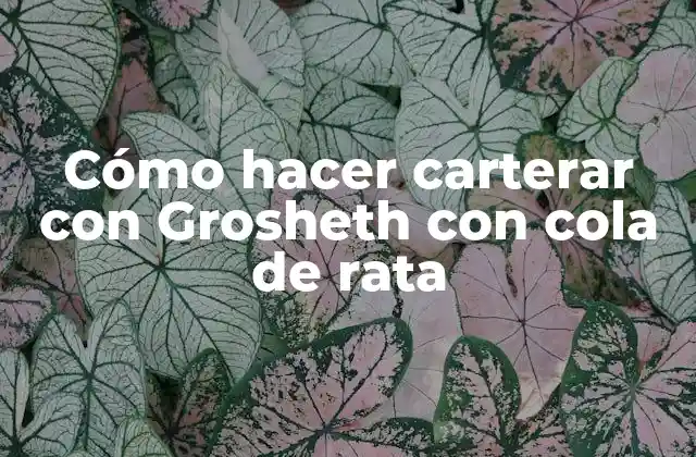 Cómo Hacer Carterar con Grosheth con Cola de Rata 2 ¿Qué es un carterar con Grosheth y cola de rata?