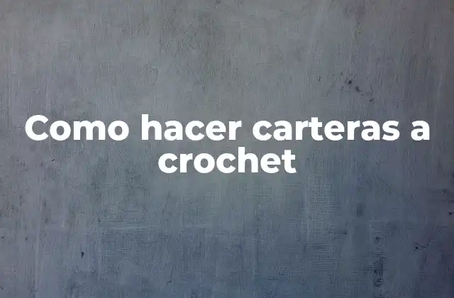 Como Hacer Carteras a Crochet