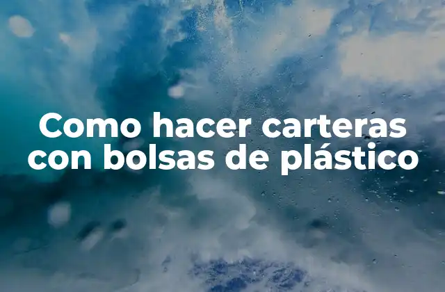 Como Hacer Carteras con Bolsas de Plástico 2 ¿Qué son las carteras con bolsas de plástico?