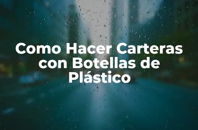 Que es una Cartera de Botella de Plástico y Como se Usa
