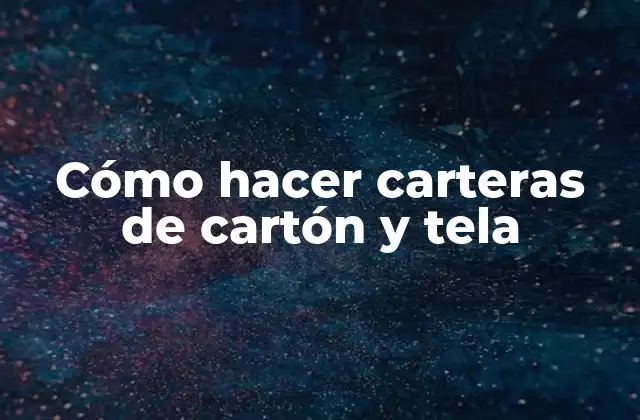Cómo Hacer Carteras de Cartón y Tela
