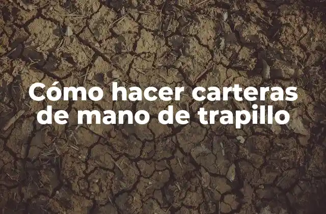 Cómo Hacer Carteras de Mano de Trapillo
