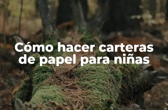 Cómo Hacer Carteras de Papel para Niñas