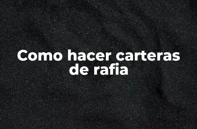 Como Hacer Carteras de Rafia