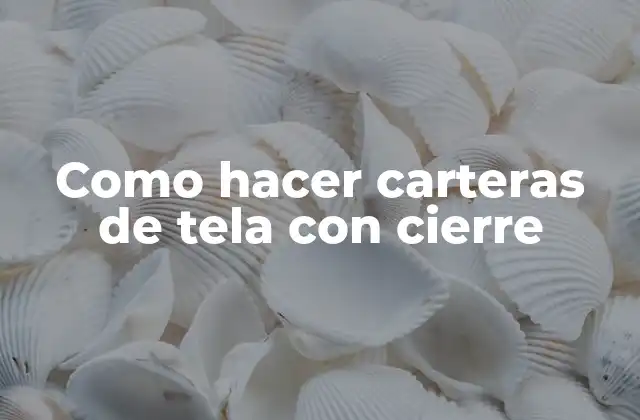 Como Hacer Carteras de Tela con Cierre