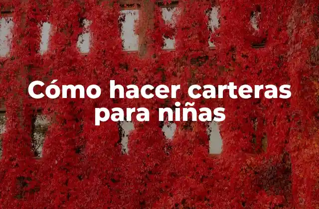 Cómo hacer carteras para niñas