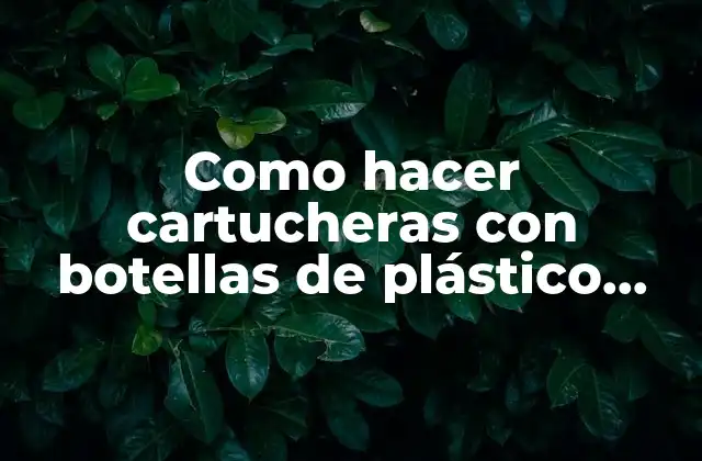 Como Hacer Cartucheras con Botellas de Plástico Paso a Paso