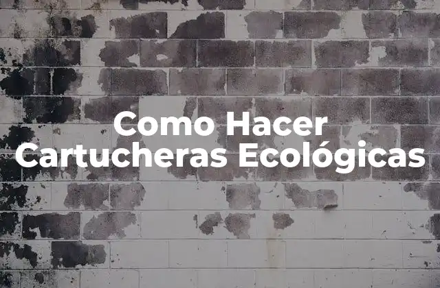 Como Hacer Cartucheras Ecológicas 2 Cartucheras Ecológicas: Qué son y para qué sirven