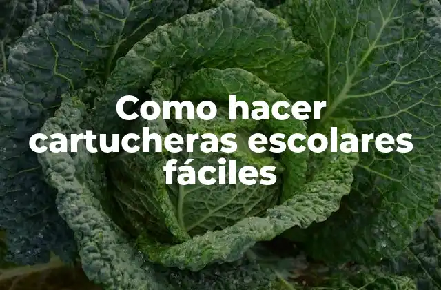 Como Hacer Cartucheras Escolares Fáciles