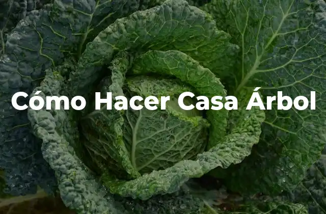 Cómo Hacer Casa Árbol 2 ¿Qué es una Casa Árbol?