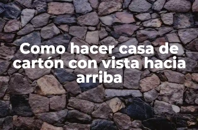 Como Hacer Casa de Cartón con Vista hacia Arriba