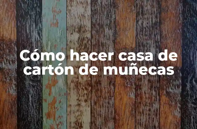¿Qué es una casa de cartón de muñecas?