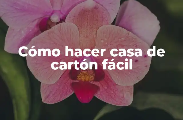 Cómo Hacer Casa de Cartón Fácil