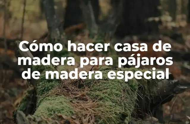 Cómo Hacer Casa de Madera para Pájaros de Madera Especial