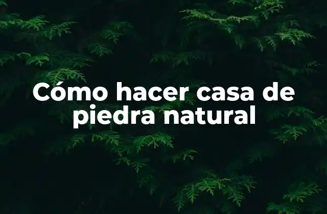 Cómo Hacer Casa de Piedra Natural