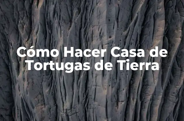 Cómo Hacer Casa de Tortugas de Tierra