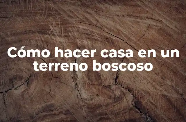 Cómo Hacer Casa en un Terreno Boscoso