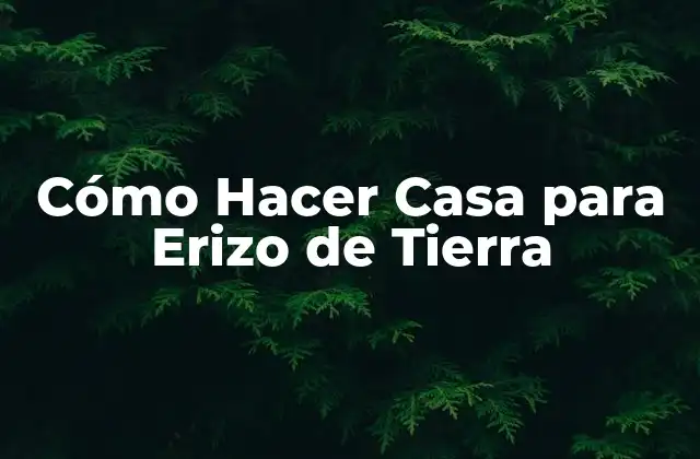 Cómo Hacer Casa para Erizo de Tierra